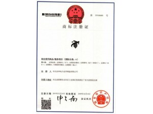 資質(zhì)